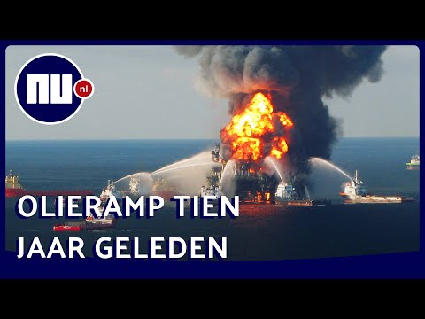 Video: BP-olieramp Gedeeltelijk Verantwoordelijk Voor Dode Dolfijnen In De Golf