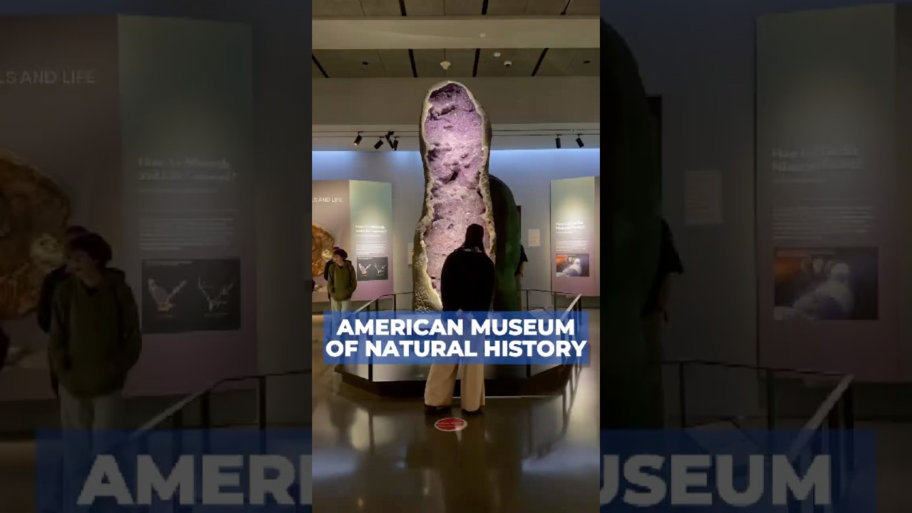 With a little help from Wikipedia, even the most unusual museums can become a Grade-A field trip.