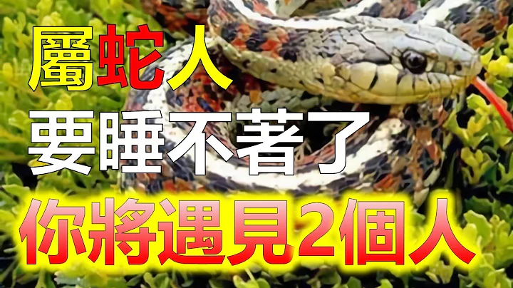 2024生肖運勢，十二生肖，生肖蛇：要“睡不著”了，對於很多生肖蛇來說，生活中的磨礪，只會讓他們變得更強，生肖蛇吃不了天賦飯，但是他們卻有不比人差的能力，他們的越來越強，超過身邊人獲得成功。（生肖蛇） - 天天要聞