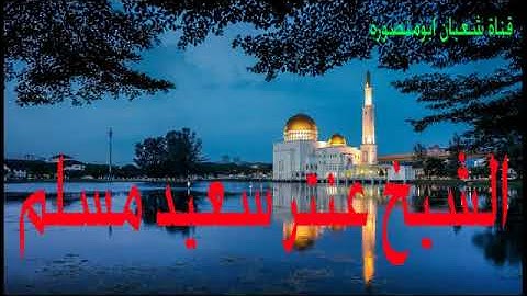 تلاوة رائعة من سورتى التوبة ويونس مع الشيخ عنتر سعيد مسلم عليه رحمة الله . .