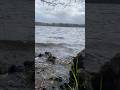 Moody Day in Ireland 🌊🍃 | Peaceful but Powerful