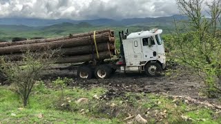 Los mejores Camiones troceros en acción - No se rajan 📷Almeida Jared y Edgar Pizaña