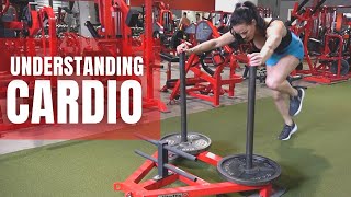 CARDIO | Everything you NEED to know | Erin Stern