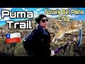 Puma Trail | Torres Del Paine National Park Chile