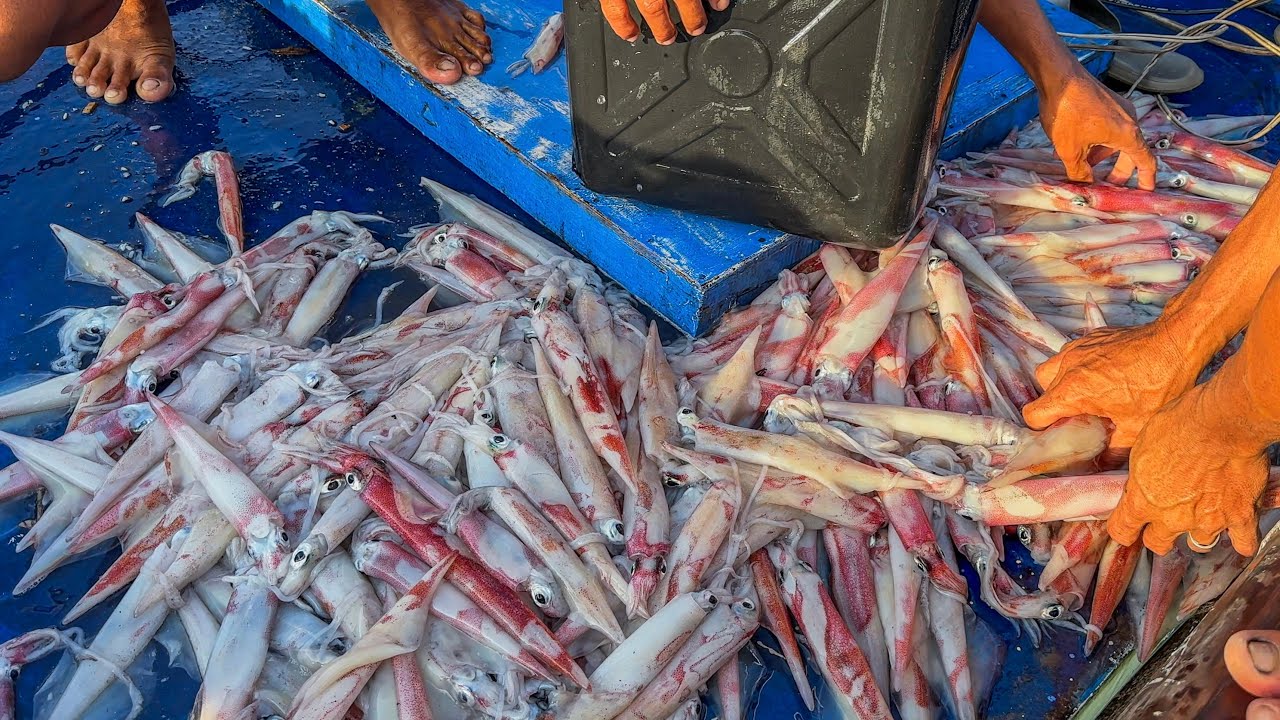 Umabot ng 80kilos sa isang gabi lang