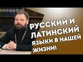 Русский и латинский языки в нашей жизни