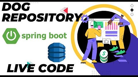 spring API DynamoDB Repository live code