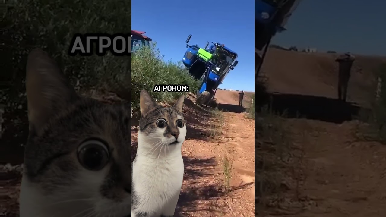 УПАЛ КОМБАЙН😮