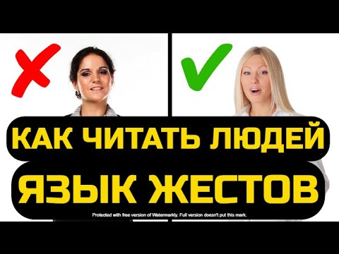 Как развить навык чтения людей.  Учимся правильно наблюдать