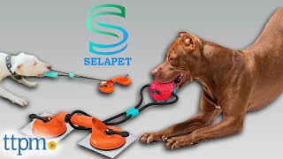 SELAPET Suction Cup Tug Toy by TTPM Pet Toys & Gear Reviews 614 views 11 months ago 2 minutes, 51 seconds