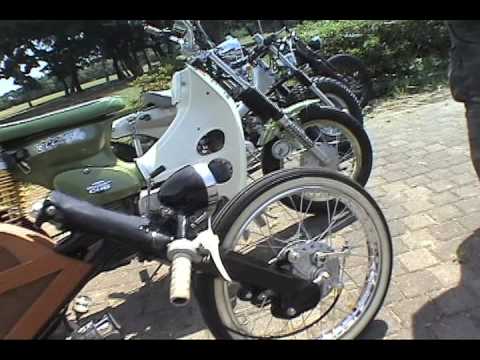 Modifying Your Car For Dog Walking Modifying Your Car For Dog Walking