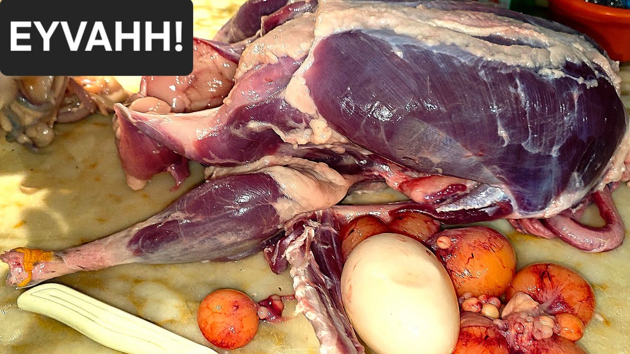 BÜYÜK HATA! Erkek Sandığım Çorum Kazı Dişi Çıktı!#çorumkazıeti