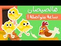 هالصيصان شو حلوين ساعة كاملة  🐥 - ليلا تي في