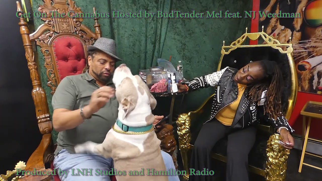 Get On The Cannabus Ep 69 Weedman Returns for a lil Reefer Raffle with Budtender Mel