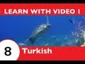 Learn Turkish with Video - If This Turkish Video Lesson Makes You Feel Froggy, Then JUMP!