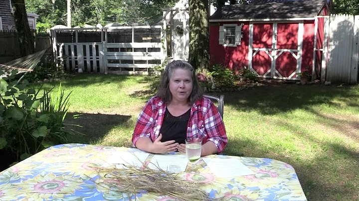 The Farmer's Daughter; Episode 2-No Place Like Hom...