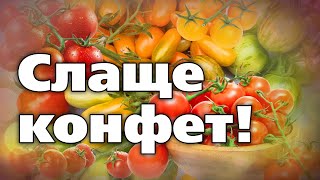 Очень Сладкие Сорта Помидоров-Черри. От Них Невозможно Отказаться