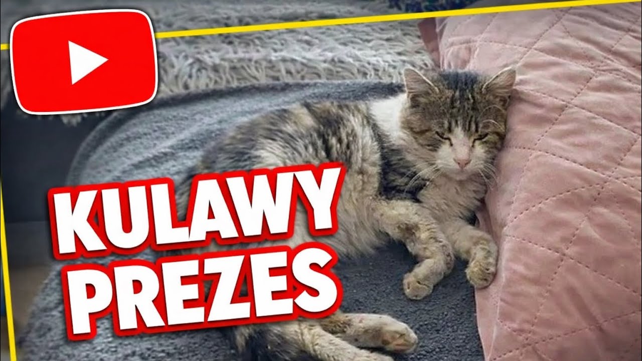 Magda przejmuje kanał