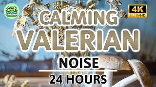 Calming Valerian Root Brown Noise | 24 Hours | Black Screen | For Sleep, Stress and Tinnitus Relief