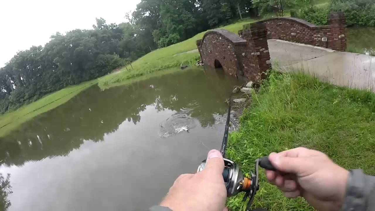 Lucky Tackle Box Challenge - June 2015 (TopWaterAssassin78)