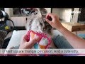 Making a MINI QUILT PIN CUSHION | fun quick project using your fabrics scraps Making a MINI QUILT PIN CUSHION | fun quick project using your fabrics scraps