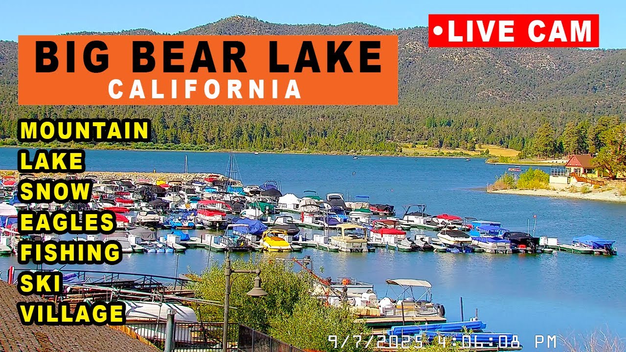 ビッグベアーです Big Bear California Live 24/7 Webcam 2K | Lake | Town | Village