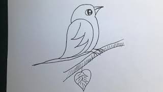 Kuş Nasıl Çizilir Çok Kolay Kuş Çizimi Easy Bird Drawing