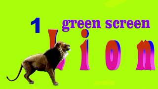 Lion green screen chroma key