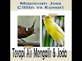 Masteran Jawara Cililin Vs Kenari Plus Terapi Air Mengalir Jeda Mp3 - Mp4 Download