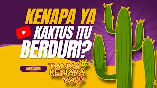 Kenapa Kaktus Berduri dan Tidak Butuh Air | Tanya Kenapa Ya