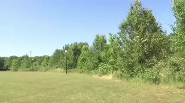 Upstate program helps homeowners exchange Bradford pear trees for native trees