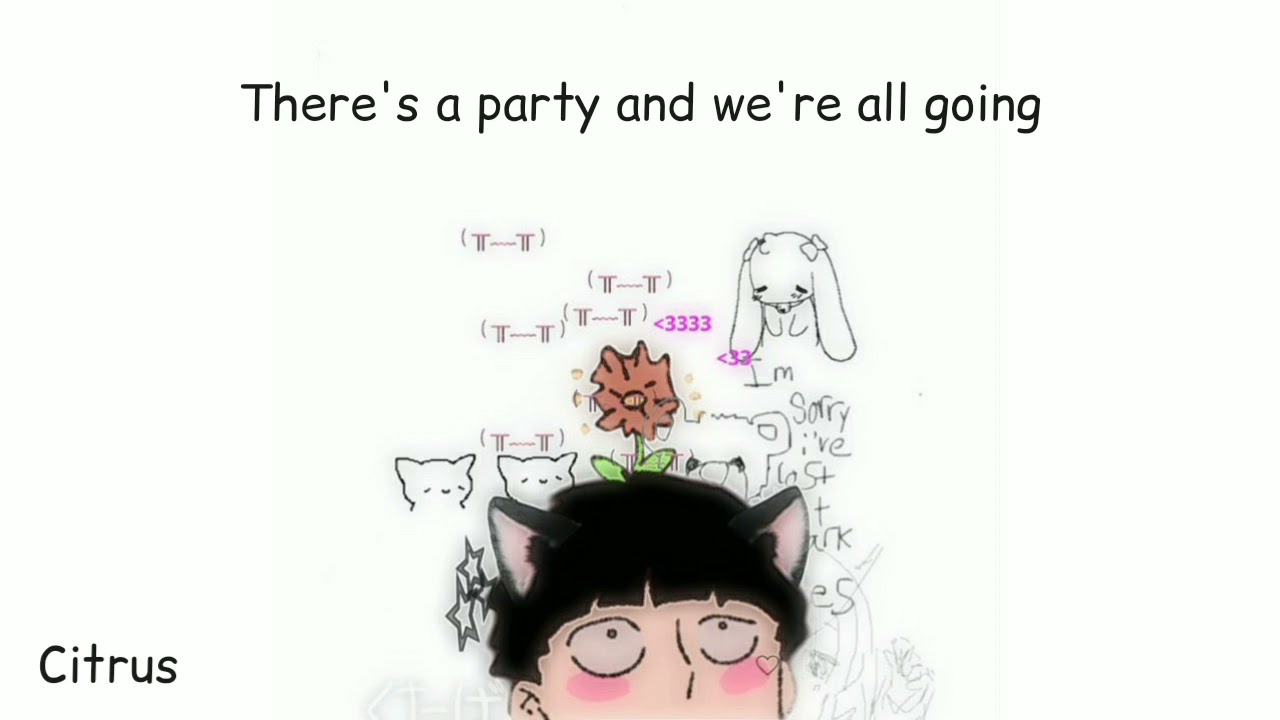 Townie / Mitski Lyrics