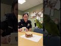 Parrot & Cops -The Missed Lunch #parrot #police #shorts #cops