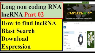 Celebrity Long Non-Coding RNA Part 02: Methods and Techniques for finding the lncRNA #CANTATAdb Wealth