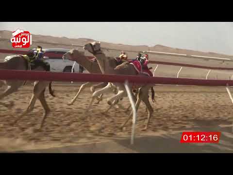 الشوط 21 صبرة ل أحمد محمد صالح الرشيدي 2 13 شارة الصندوق 2024 3 17 فطامين سيح صبرة