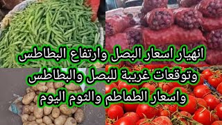 اسعار البطاطس اليوم في الطالع والبصل في النازل وتوقعات اسعار البطاطس والبصل والطماطم والخضار اليوم