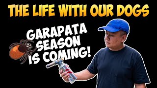 GARAPATA HUNTING | GOLD LABEL DOG FOOD | AT IBA PANG ACTIVITIES SA FARM