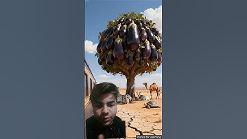 Zebra saved the brinjal tree from drying up by watering it😭#ai #save #tree #zebra