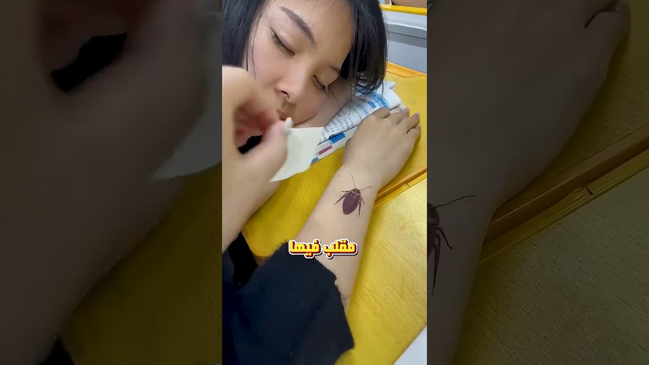 مقلب الصرصور خرج عن السيطرة! 🤣