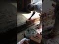 😂 Crazy Construction Workers Moments | #Shorts #ConstructionComedy #FunnyConstruction #ComedyShorts