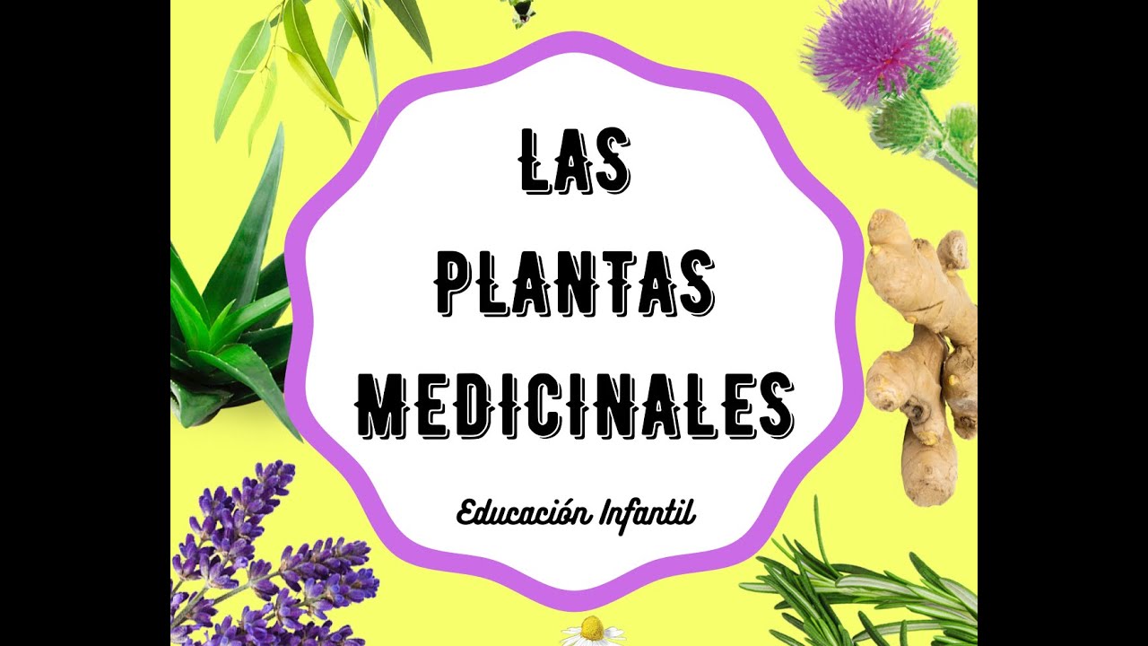 Las plantas medicinales en Educación Infantil - YouTube