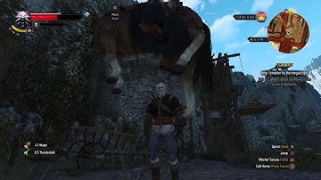 The Witcher 3 Roach Glitch