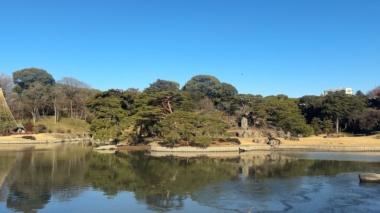 Quiet Walk Through Rikugien Garden, Tokyo 🇯🇵 | 4K POV Walking Tour