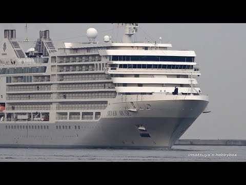 SILVER MUSE シルバー ミューズ 大阪港入港
