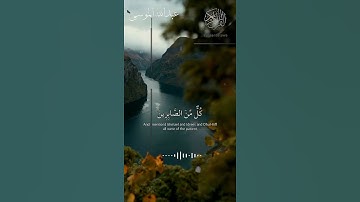 أجمل تلاوه الشيخ عبدالله الموسى تلاوه نادره قصيره حالات واتس اب قرآن مقاطع قرآن قصيره انستغرام قرآن