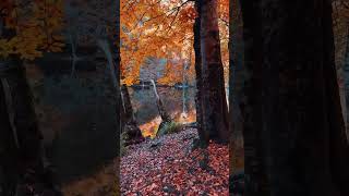 Geçti Artık Sevgilim Bir Daha Dönmem Geri...