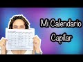 MI NUEVO CALENDARIO CAPILAR | SaMi Beauty