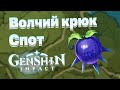 Где найти ягоду Волчий Крюк в Genshin Impact