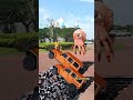 Massive Truck & Car | Beamng Crash - A Visual Feast #shorts #beamng #vfx #beamngdrive