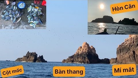 Câu Cá Biển Nhơn Lý, Khám Phá Những Điểm Câu Mới. TÝ FISHING. ( Vietnamese fishing ).